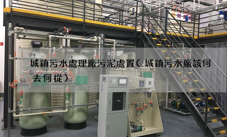 城鎮污水處理廠污泥處置(城鎮污水廠該何去何從)